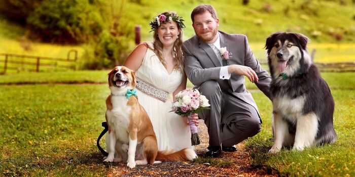 Hund zur Hochzeit Die besten Tipps &amp; Ideen, euer Tier mit einzubeziehen